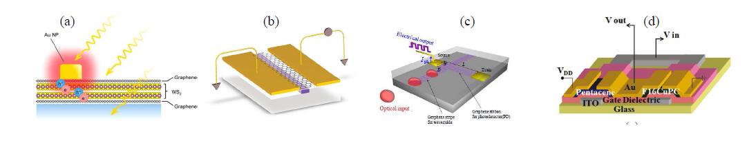 (a) WS2 photodetector, (b) Si waveguide-integrated graphene photodetector, (c) Graphene-based plasmonic photodetector, (d) Pentacene/copper hexadecafluorophthalocyanine thin-film phototransistors.