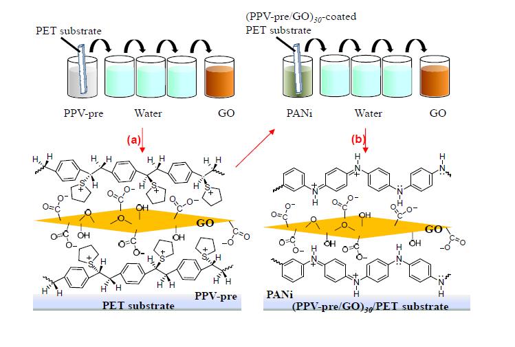 Schematic illustration for fabrication of a P30 electrode via layer-by-layer deposition of 30 PANi/GO bilayers onto a (PPV-pre/GO)30-precoated PET substrate