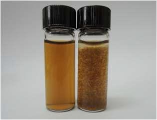 GO 용액(왼쪽) 및 GO-TiO2 합성물 분산용액(오른쪽) 이미지.