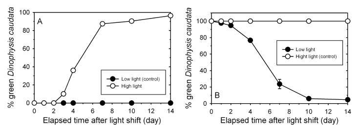 먹이(혼합영양성 섬모류 Mesodinium rubrum) 공급을 중단한 후 빛 환경조건을 바꿀 때 디노피시스 색소체의 색깔변화. (A) 저광량 (10 umol photons/m2/s)에서 고광량 (160 umol photons/m2/s)으로 이동시 시간에 따라 초록색 색소체를 지닌 디노피시스의 양이 증가함을 알 수 있음. (B) 고광량에서 저광량으로 이동하여 배양시에는 시간에 따라 점점 초록색 색소체를 지닌 디노피시스가 감소함을 보여주는 결과