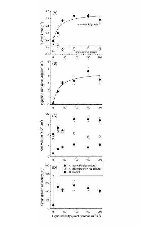 빛의 세기의 함수로서 와편모류 Amylax triacantha의 성장률(A), 섭식율(B), 세포 부피(C) 및 성장 효율(D).