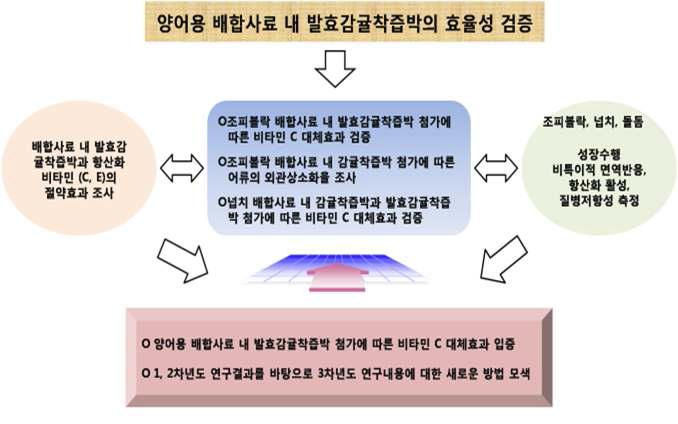 2차년도 연구범위