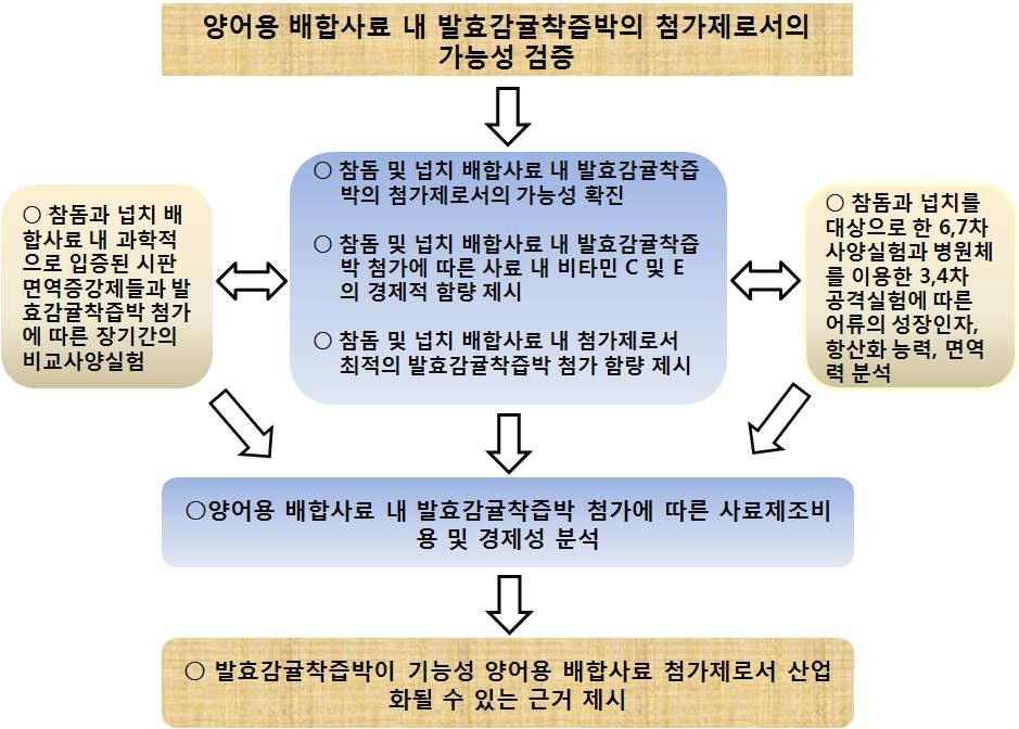 3차년도 연구범위