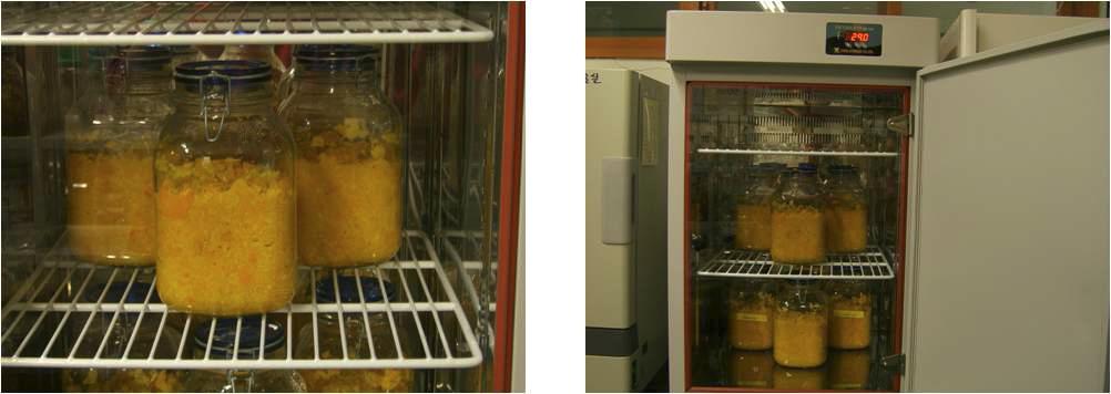 The fermentation process of citrus byproduct