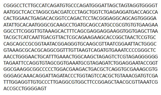 SNU471 균주의 16S rDNA 염기서열.