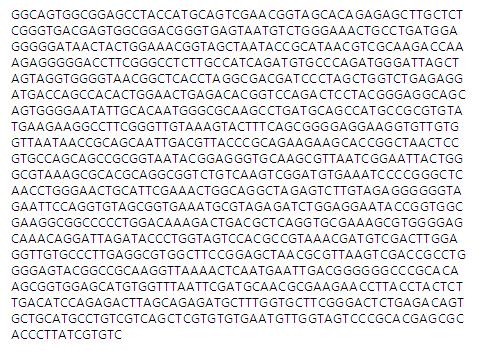 SNU502 균주의 16S rDNA 염기서열.