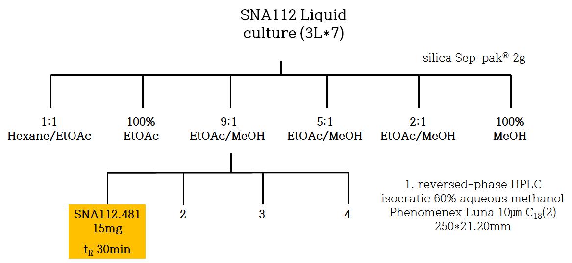 SNA112.481 (tripartilactam)의 분획 및 분리과정.