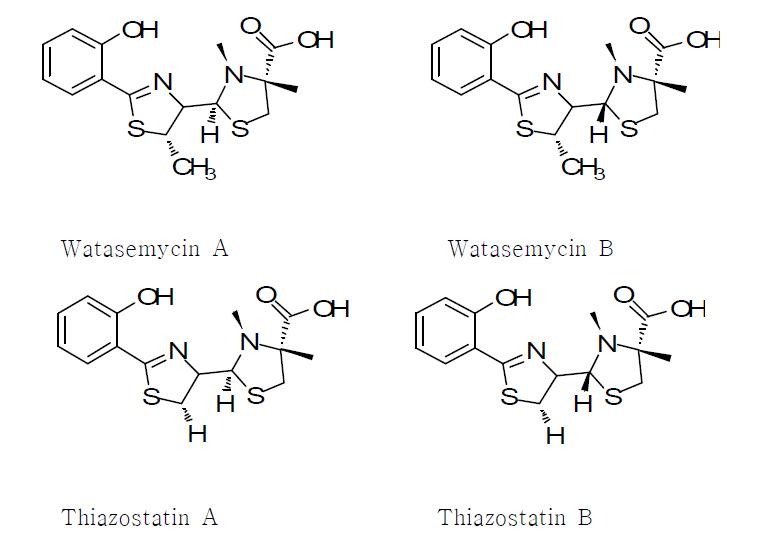 Watasemycins와 thiazostatins의 구조.