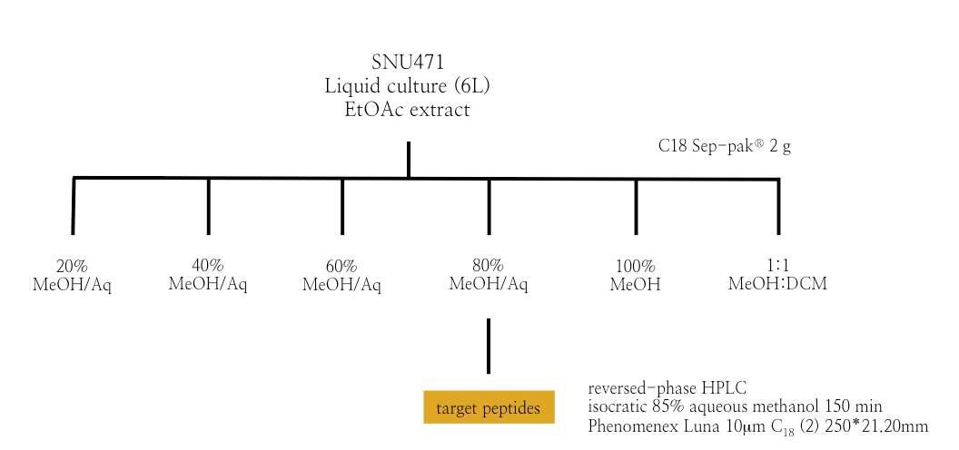 SNU471 물질들의 분획 및 분리과정.