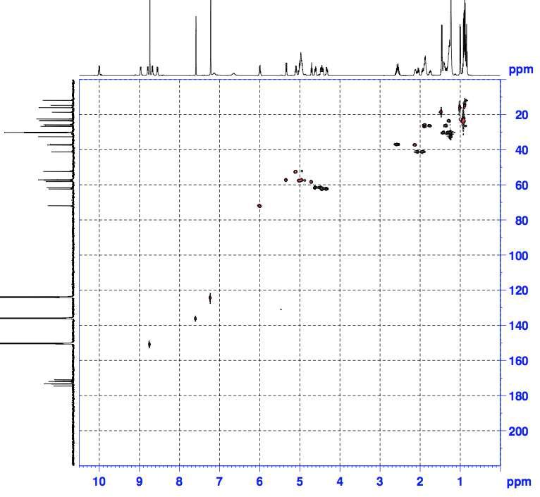 SNU471.683 (marcepin A)의 HSQC spectrum.