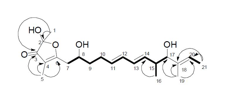 2D NMR 기법 (COSY, HMQC, HMBC)으로 완성된 AC43.364의 구조.