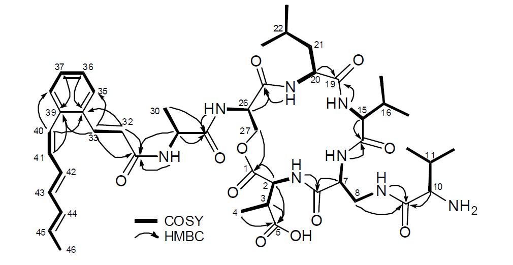 SNU533.906의 평면구조와 COSY 및 HMBC correlations