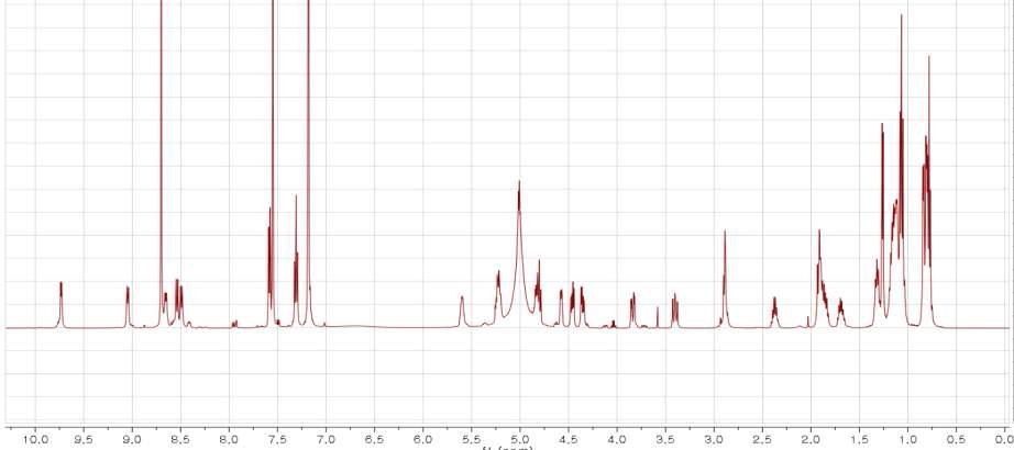 SNU502.717의 1H NMR spectrum.