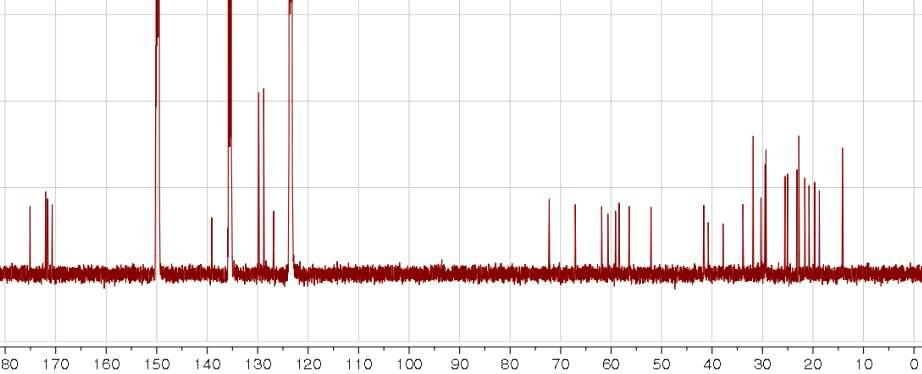 SNU502.717의 13C NMR spectrum.