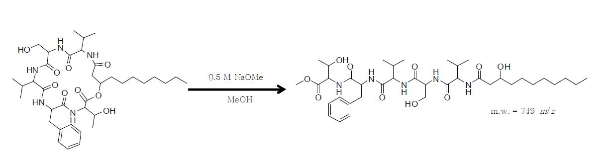SNU502.717의 Methanolysis