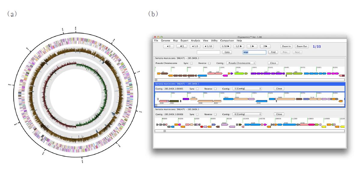 (a) SNU471 full genome map. (b) SNU471 genome cluster 의 일부 (CLgenomics)