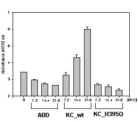 ADP production by ABD and kinase core