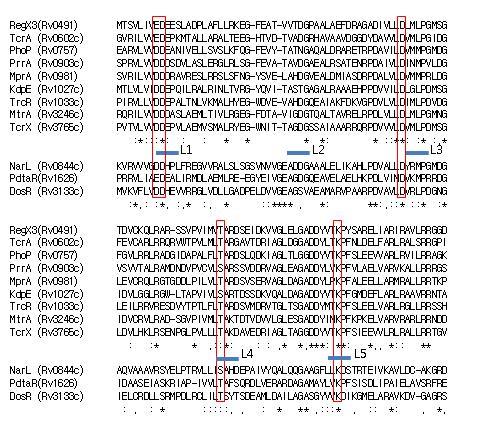 Amino acid sequence alignemet of REC domain of response reguration from Mycobacterium tuberculosis.