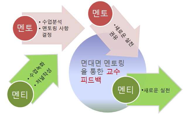 교수피드백 절차