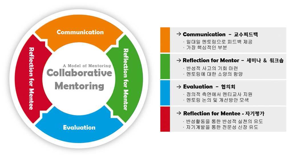 A model of Mentoring Program