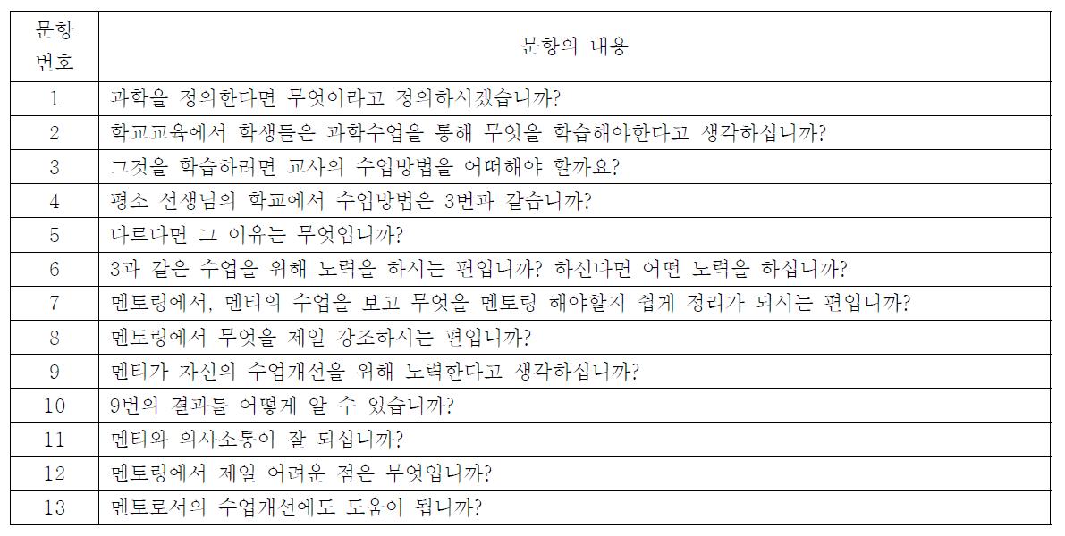 멘토 중간인터뷰 문항