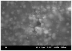 25wt% BaTiO3 샘플에서 슬러리 안에 pore가 트랩되어 있는 사진