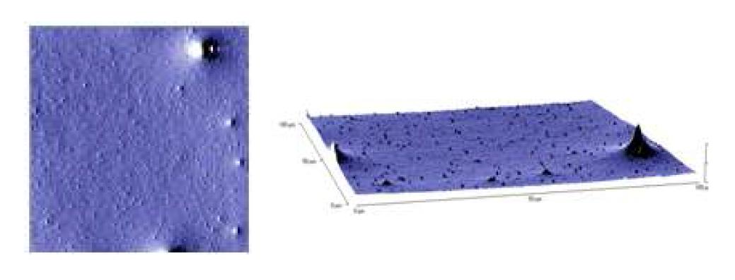 8wt% BaTiO3 slurry의 AFM 사진, RMS : 40nm