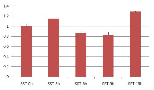 Somatostatin이 일차 배양된 별아교세포에서 GCPII mRNA 레벨에 미치는 영향