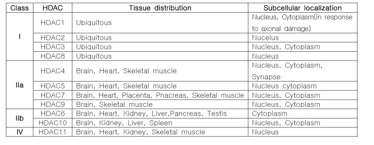 HDAC의 조직 및 세포 특이적 발현