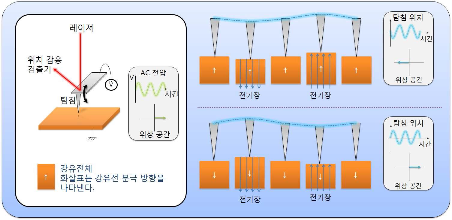 Piezo-response Force Microscopy (PFM)의 원리.