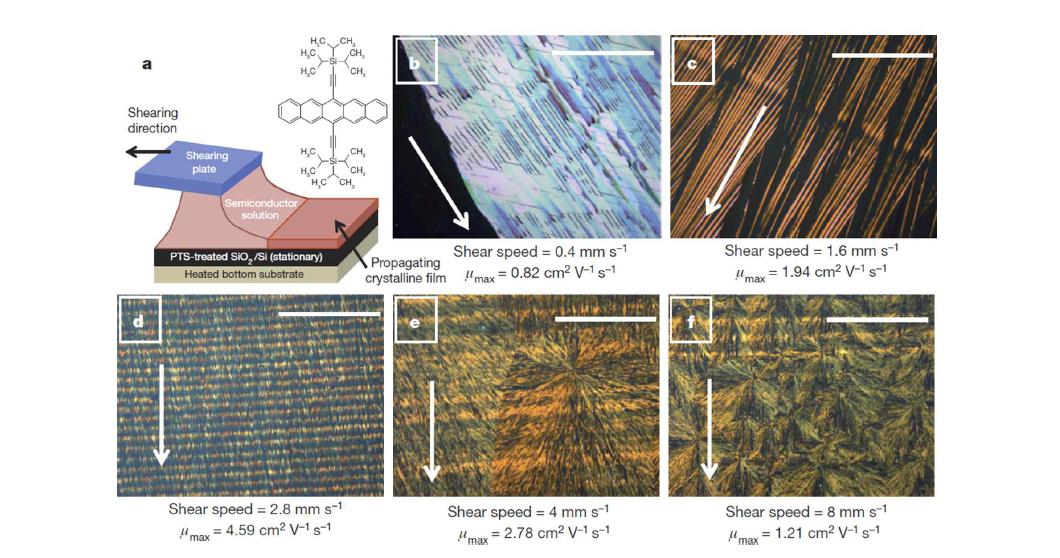 (a) TIPS pentacene 용액프린팅 시 전단 (shear) 흐름을 이용한 결정배향 제어 모식도. (b-f) 다양한 전단흐름 인가에 따른 광학현미경 박막 모폴로지 및 이들의 전하이동도.[2]