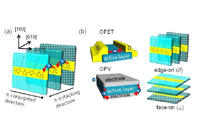 (a)　폴리티오펜 고분자 내의 π 중첩 공액구조 및 전하이동 모식도. (b) 최적화를 위한 유기일렉트로닉스 내의 공액 고분자 배향: (1) 'edge-on' 구조: 측쇄사슬이 기질 위에 수직 배향되는 열역학적으로 안정한 공액구조; (2) ‘face-on' 구조: 측쇄사슬이 기질 위로 평행 배향되는 공액구조.