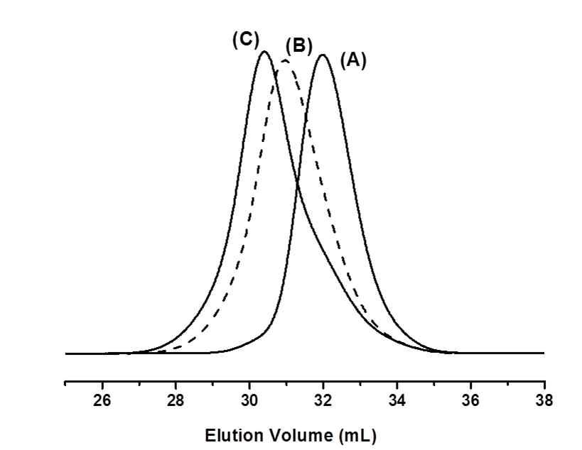 P3HT-MI (A), P3HT-b-PMMA (B, C)의 GPC 결과: (B) PMMA 중합시간 (B) 12시간; (B) 36시간.