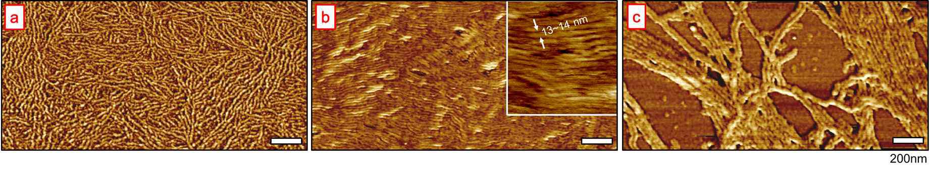 (a, b) P3HT 및 (c) P3HT-b-PMMA 드랍캐스팅 박막의 AFM 모폴로지: (a) BASF 사의 P200 (20kDa); (b) P3HT-PMMA 전구체 (Mn = 11kDa).