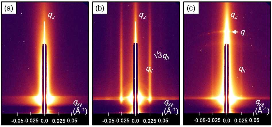 (a) 50 nm 두께의 allyl-P3HT 와 (b, c) P3HT-b-PMMA 박막에 대한 2D GISAXS 패턴: (b) 두께 20 nm; (c) 80nm.