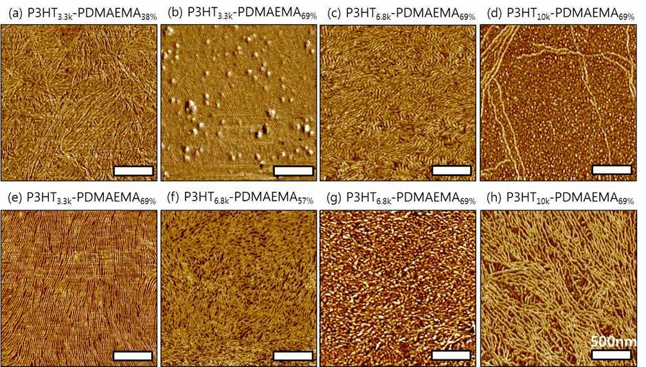 P3HT-PDMAEMA 박막 AFM 모폴로지: (a-d) 0.05 vol% CB and (e-h) THF.