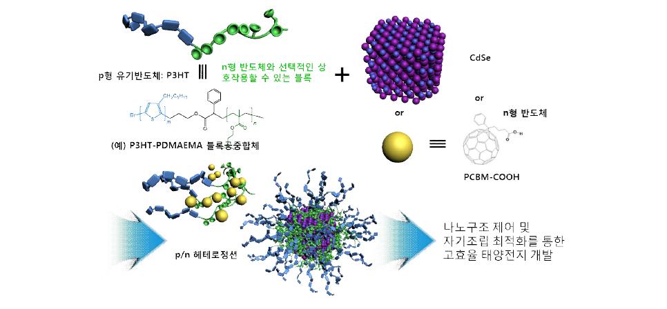 Scheme of fabrication of BHJ thin films with P3HT-based BCP and n-type semiconductors.