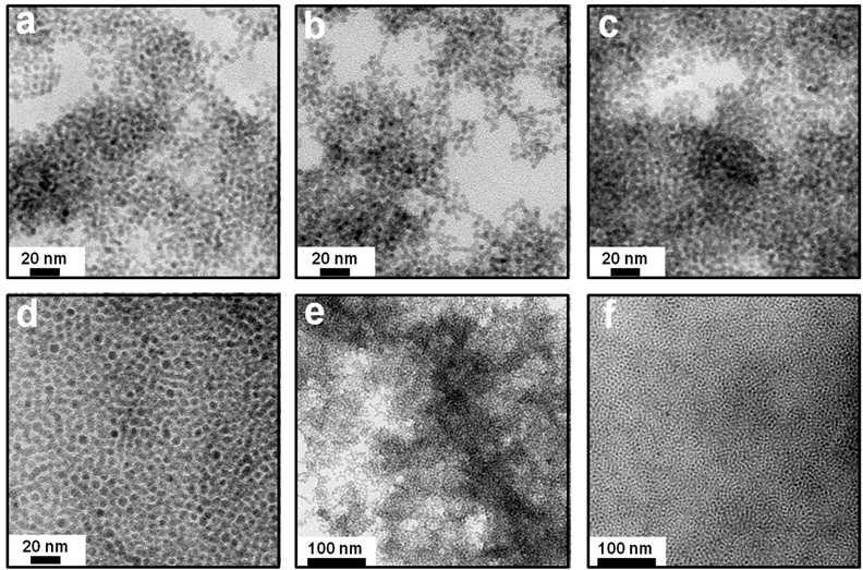 5 nm CdSe 양자점과 (a-c) P3HT 및 (d-f) P3HT-b-PDMAEMA 분산용액으로 부터 얻어진 박막의 TEM 모폴로지. (a) 1:10, (b, e) 1:1, and (c) 10:1. T