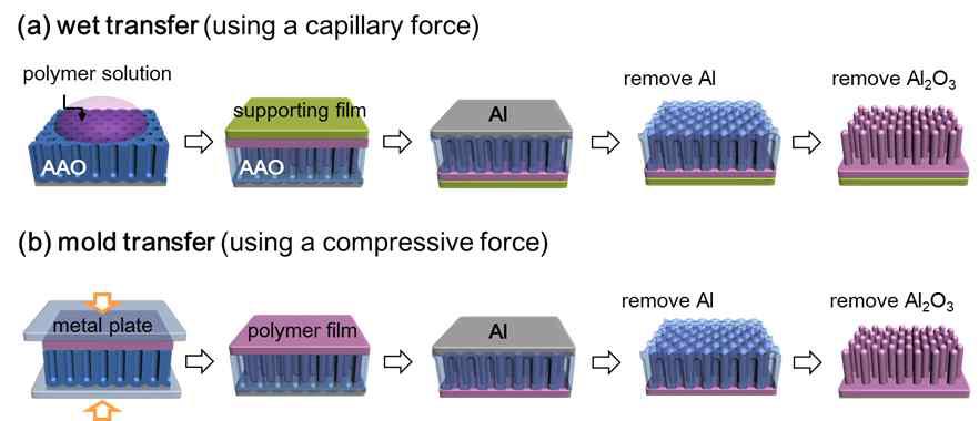 AAO를 활용한 고분자 나노어래이 박막제조 공정: (a) 습식 (wet) (b) 건식(dry) transfer.