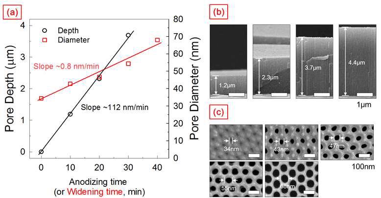 0.3 M 옥살산 전해질을 활용한 알루미늄 양극산화 시간에 따른 깊이 (L) 및 직경 (D) 변화 : (a) 상관관계 그래프; (b, c) 다양한 AAO 다공구조의 SEM 모폴로지.