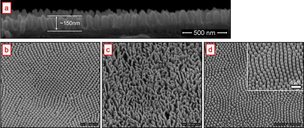 AAO 나노템플레이트를 활용한 고밀도 정렬 P3HT 나노돌기 어래이 SEM 모폴로지: (a-c) 0.3 M 옥살산; (d) 0.1 M 인산 전해질로부터 얻어진 AAO 활용.