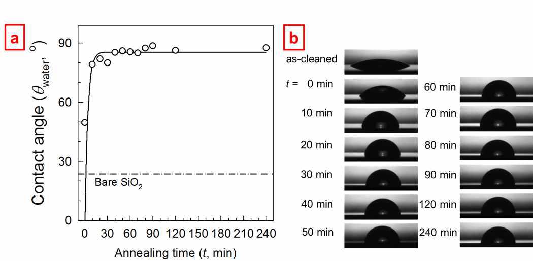 그래프팅 처리시간에 따른 개질 표면의 물접촉각 변화.