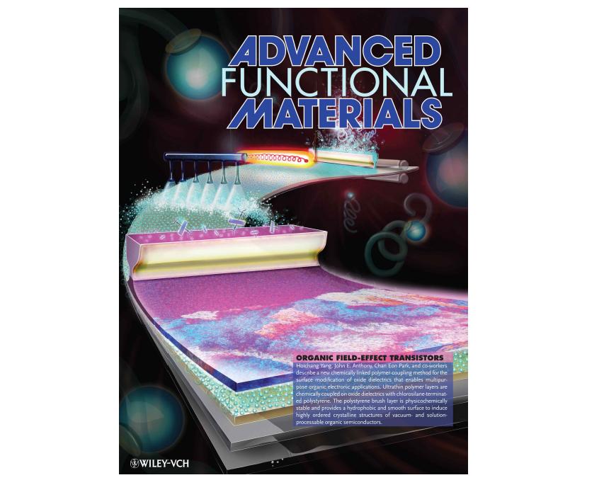 Advanced Functional Materials 21권에 표지로 소개됨.