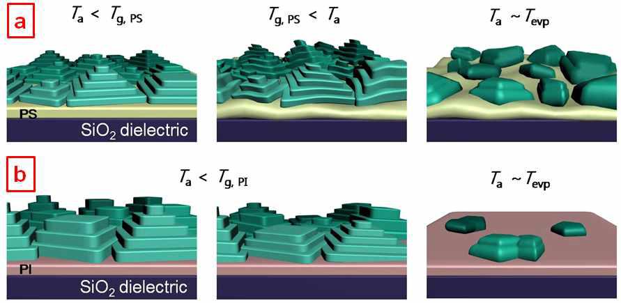 상이한 기질 위 펜타센 박막의 온도에 따른 구조변화 모식도: (a) PS/SiO2; (b)PI/SiO2.
