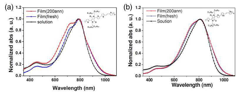 DPP기반 공중합체 박막의 UV 스펙트럼: (a) PDPPDBT; (b) PDPPDTSE.