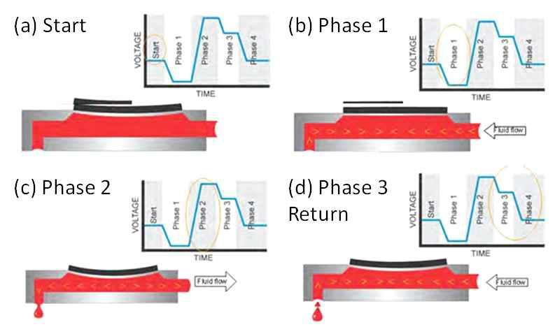 표준잉크에 최적화된 피에조 인가전압의 웨이브폼. (a) PZT bimorph is slightly deflected proir initiation of drive pulse train. (b) decrease in voltage moves PZT upward. drawing in fluid from reservoir. (c) increase in voltage delfects PZT. Drop formation is initiated. (d) PZT motion is controlled during drop break off.