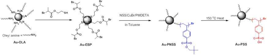 PSS로 코팅된 금 나노입자의 합성 개략도.