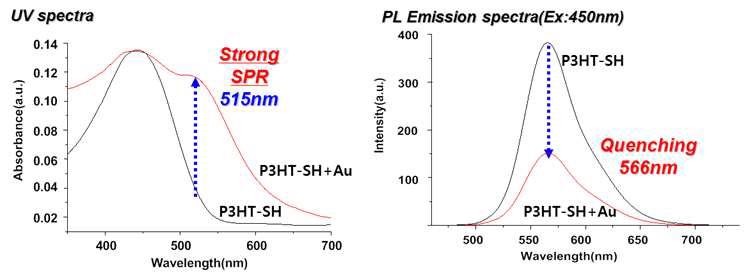 4 kDa P3HT-SH를 이용한 금 나노입자와 콤플렉스를 이루도록 블렌딩한 물질을 UV-vis 및 PL 스펙트럼.