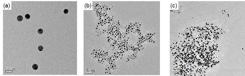 (a) 7 nm 금 나노입자, (b) 4 kDa P3HT-SH를 이용한 금 나노입자와 콤플렉스를 이루도록 블렌딩한 물질, (c) 4 kDa P3HT와 금나노입자 블렌드의 TEM 이미지.