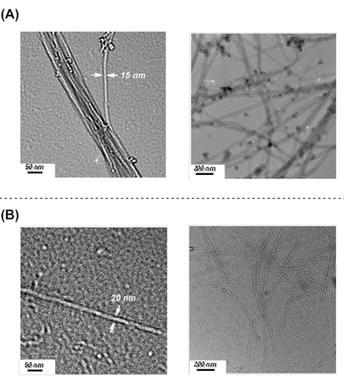 P3HT-b-PMMA와 SWNT 복합체화 전∙후의 TEM 모폴로지. (A) 미처리 SWNT, (B) P3HT-b-PMMA/SWNT 나노복합체.